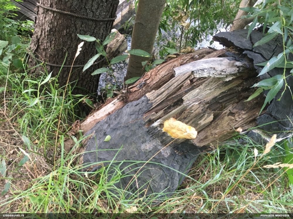 Ragansviests (nenoteikts)