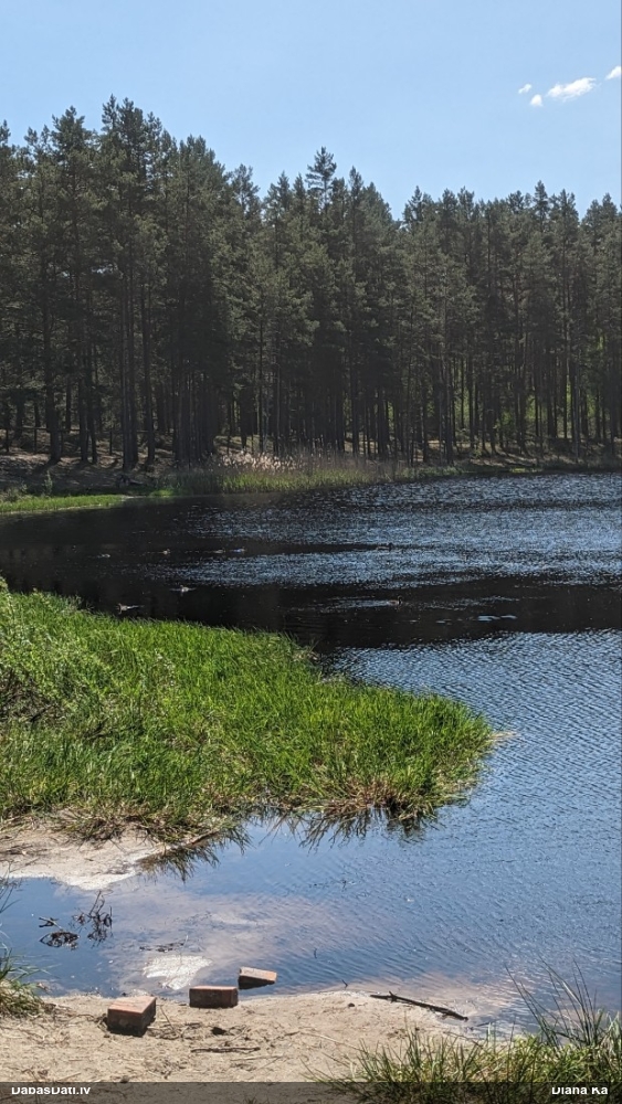Pīle (nenoteikta)
