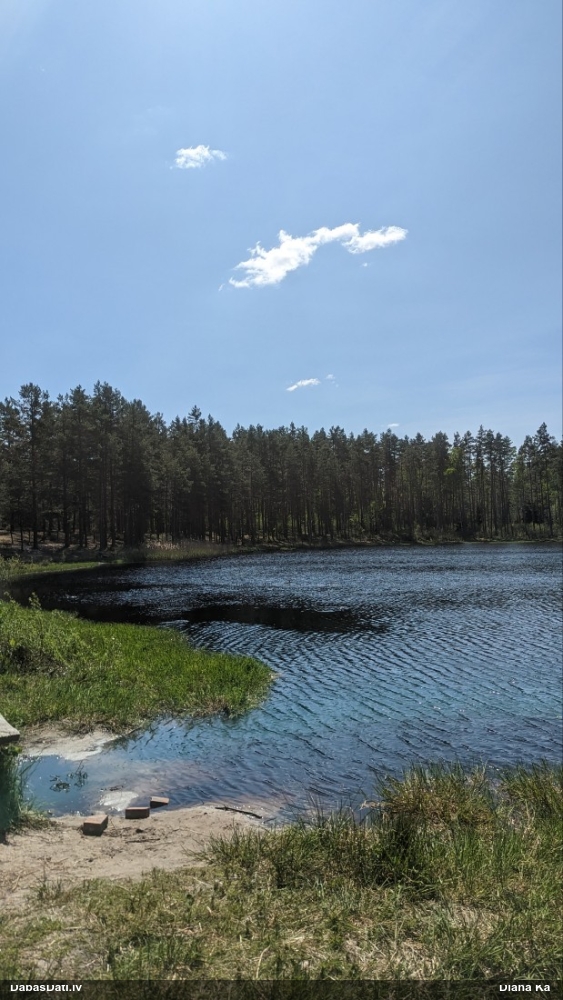 Pīle (nenoteikta)