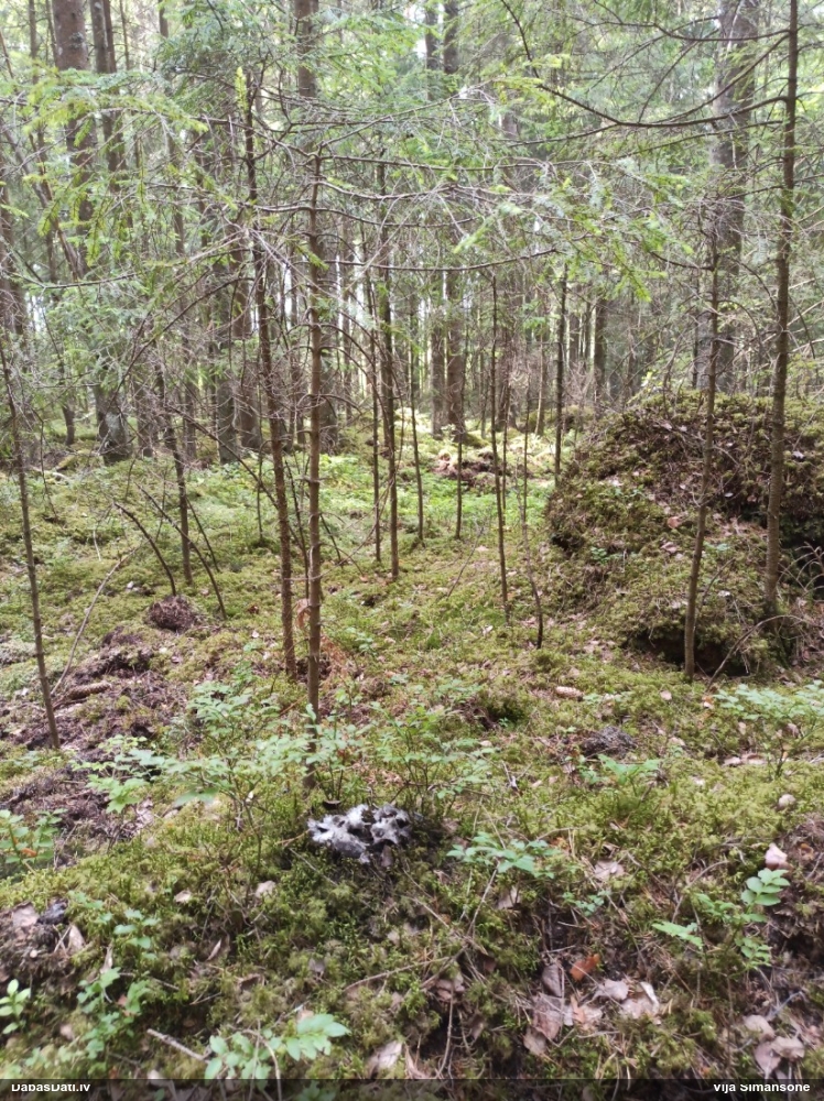 Ragansviests (nenoteikts)
