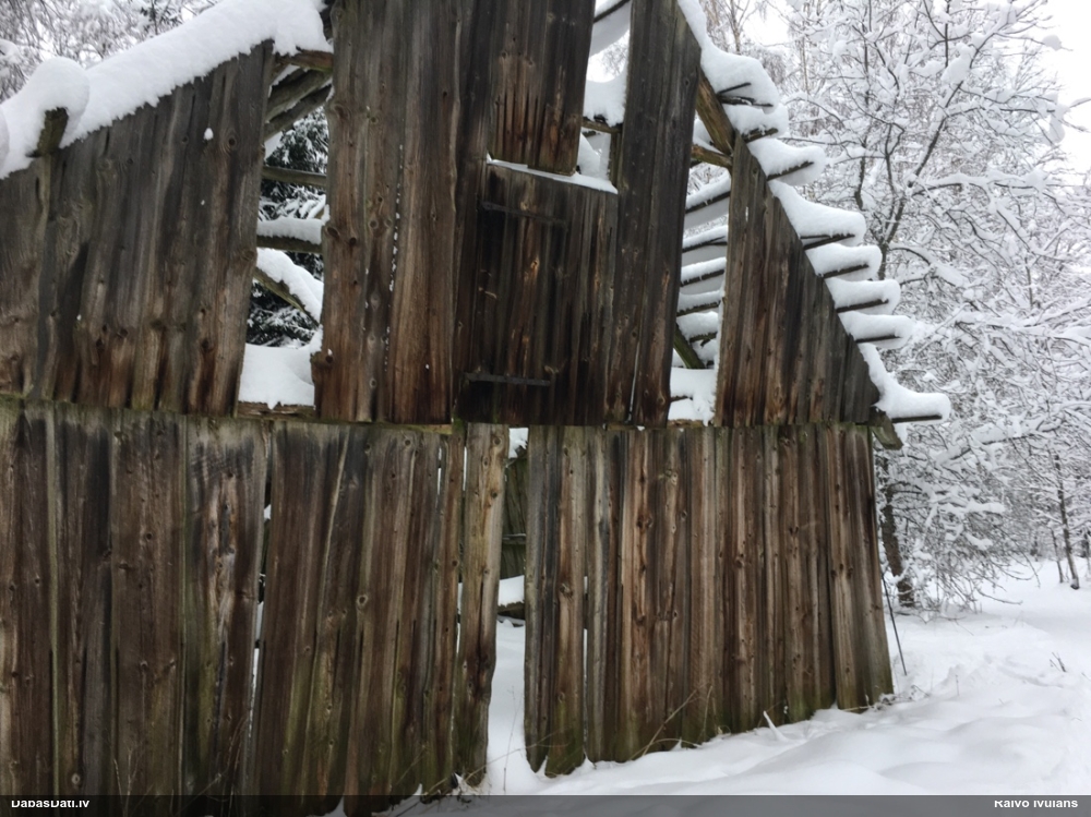 Brūngalvainā henotēka