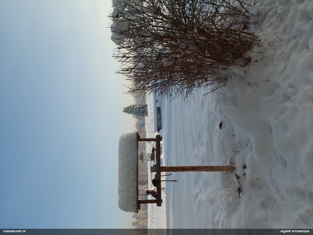 зеленушка