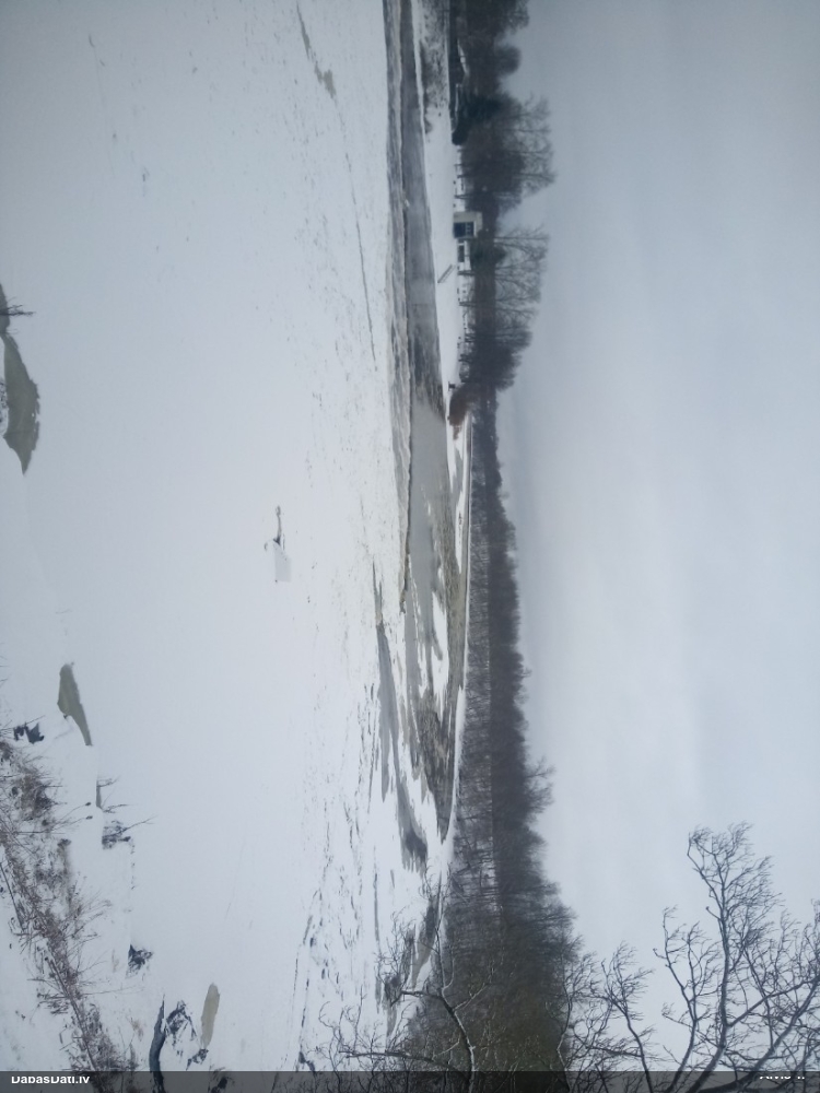 кряква