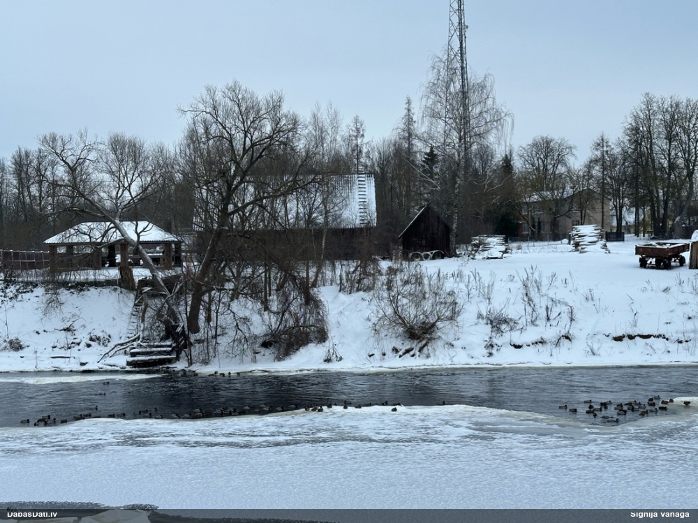 кряква