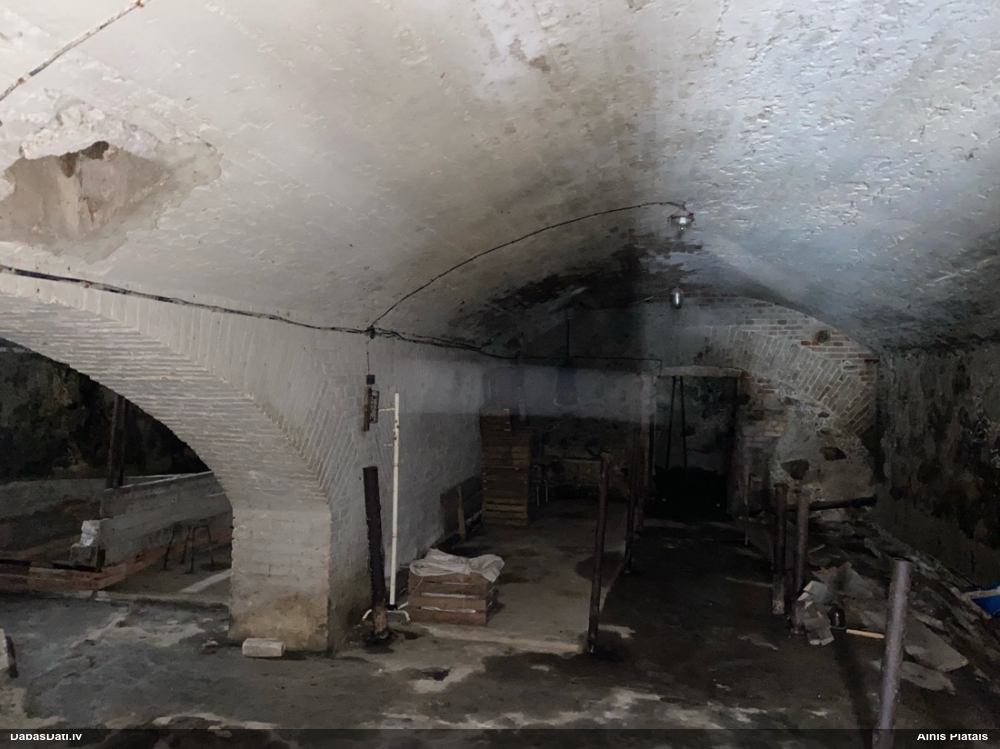 северный кожан