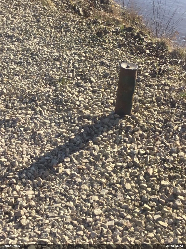 Zīdītājs (nenoteikts)