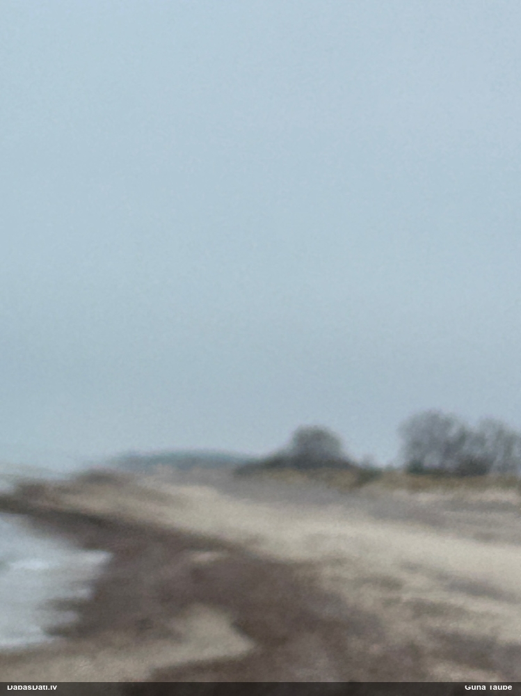 серый журавль