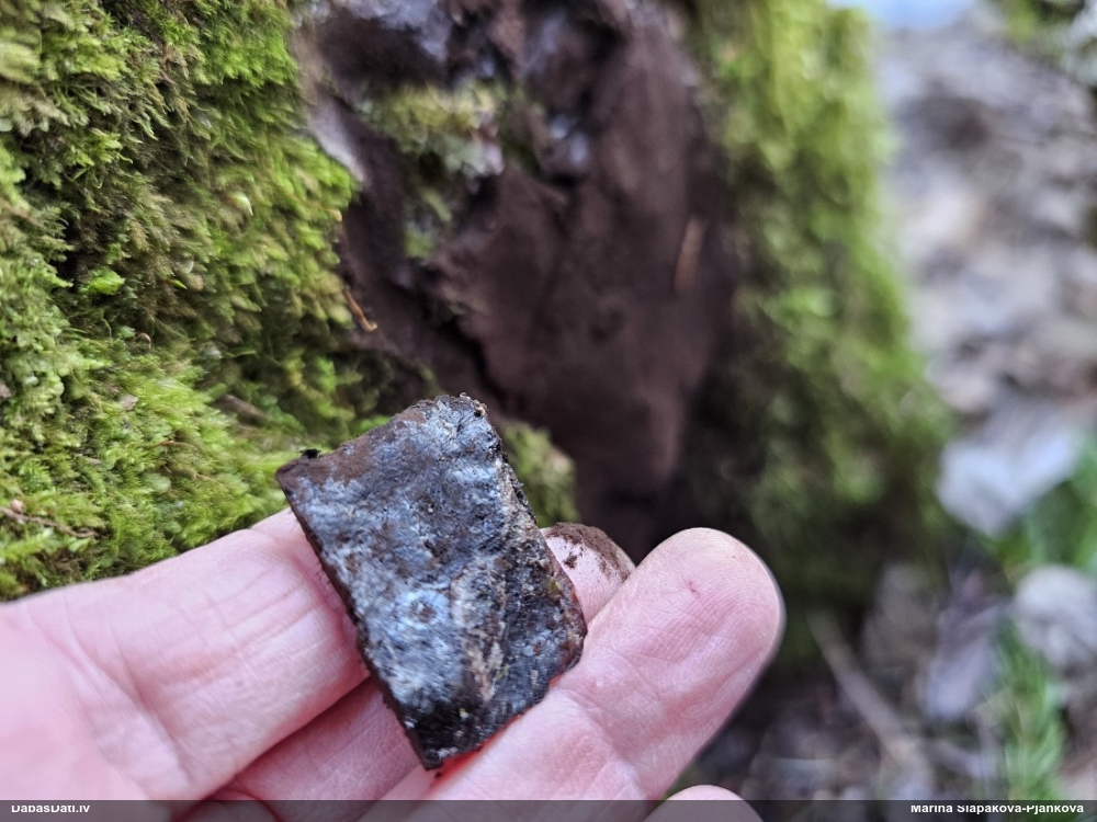 Gļotsēne (nenoteikta)