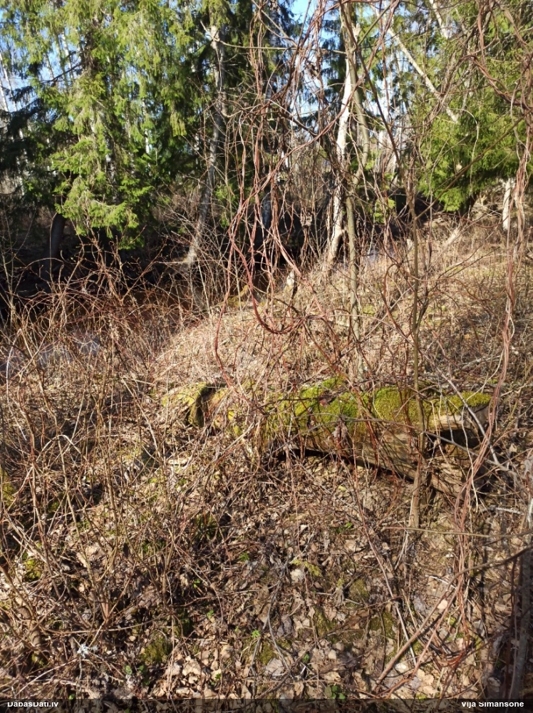 Kastaņbrūnā kātiņpiepe