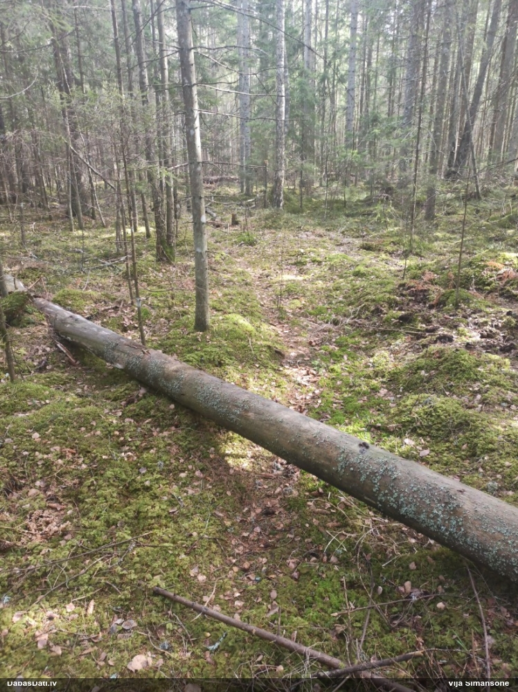 Komatrihija (nenoteikta)