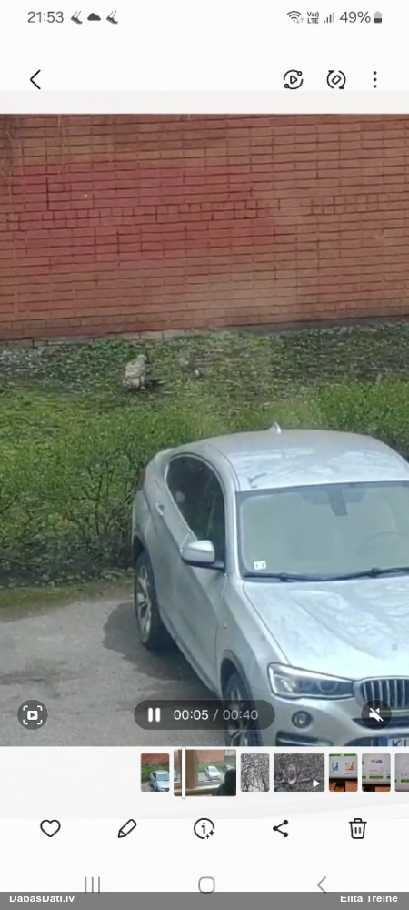 тетеревятник