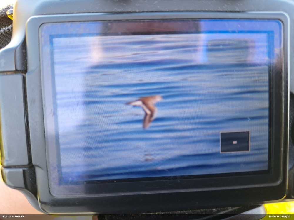 перевозчик