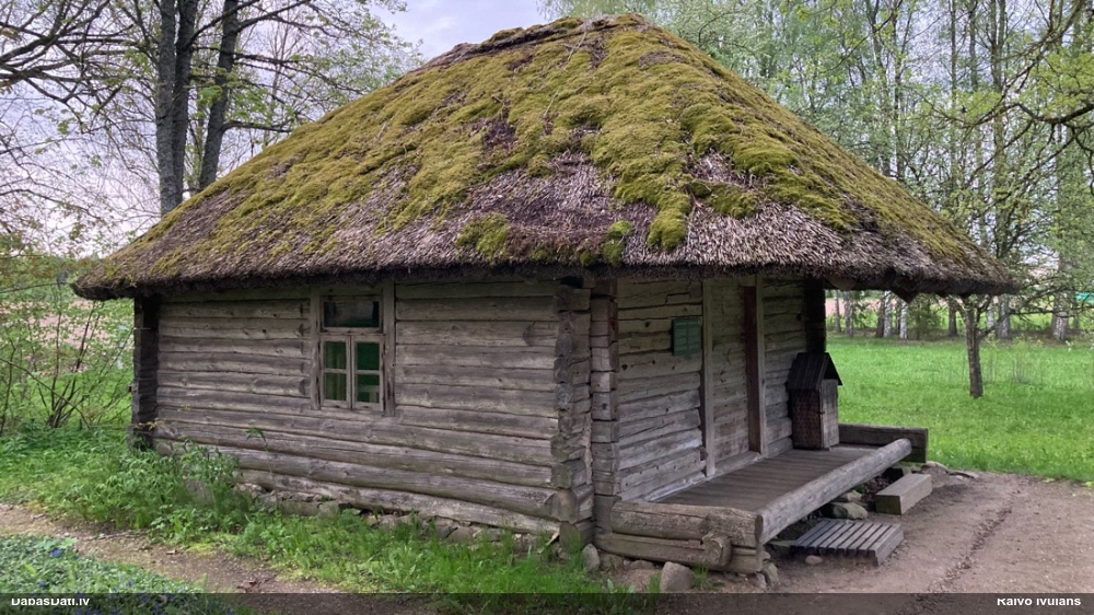 Brūngalvainā henotēka