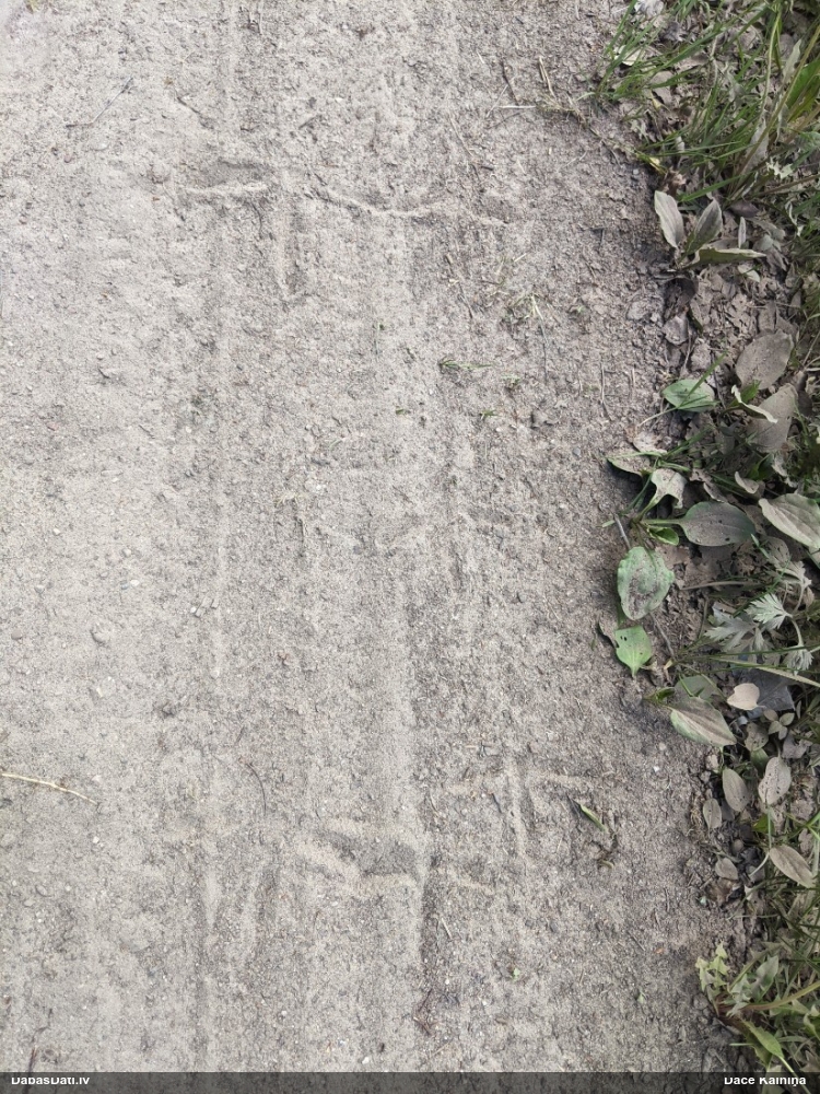 серый журавль