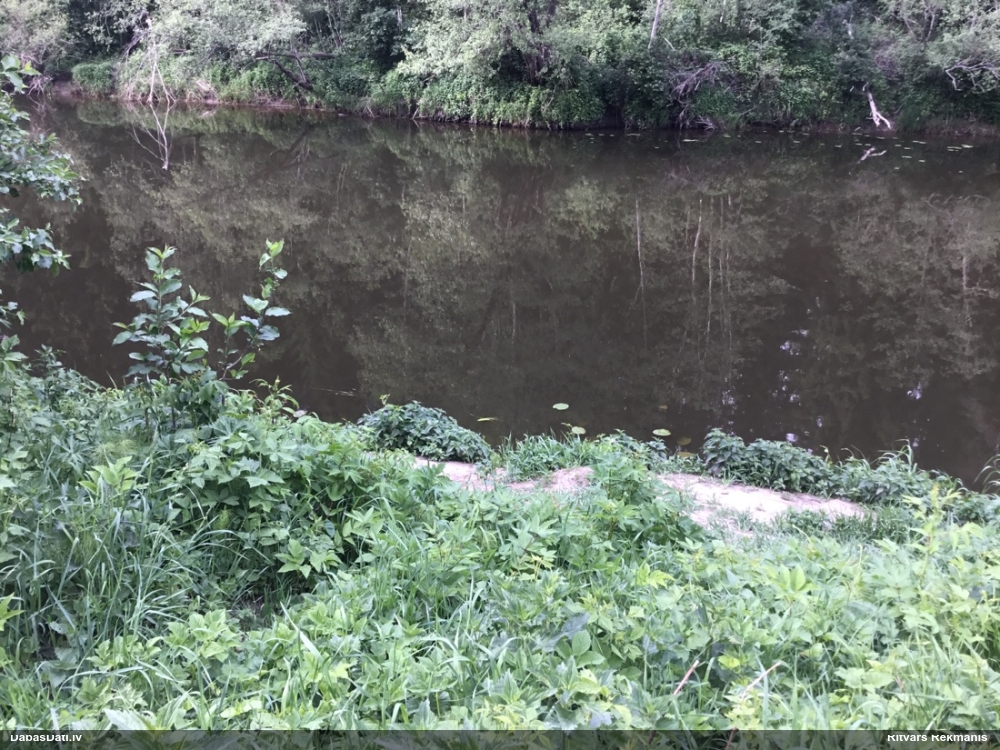 Melnkāju upjuspāre