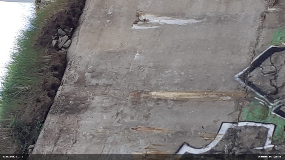 береговая  ласточка