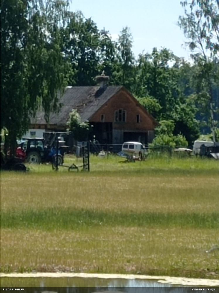 белый аист
