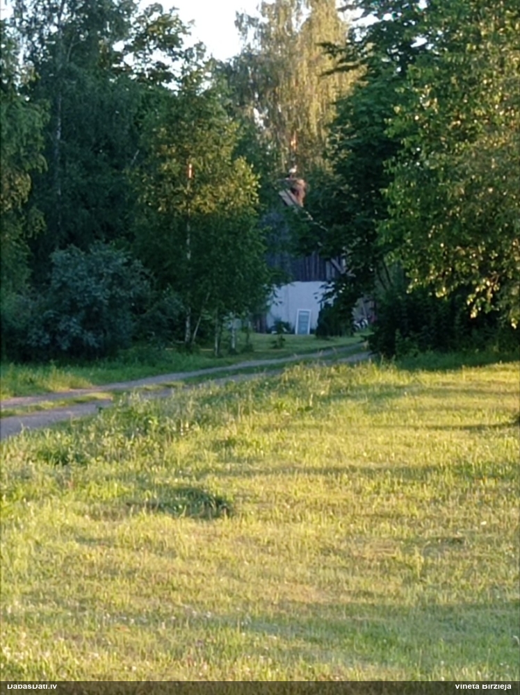 белый аист