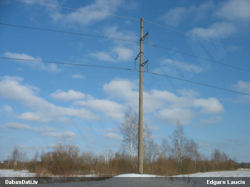 Svītrainā pūce